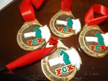 Federao Catarinense de Xadrez - FCX - Medalhas